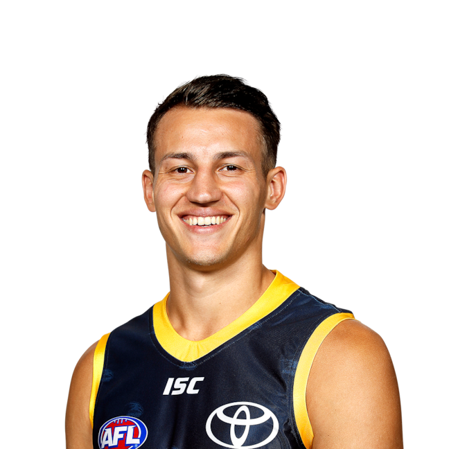 Tom Doedee profile picture
